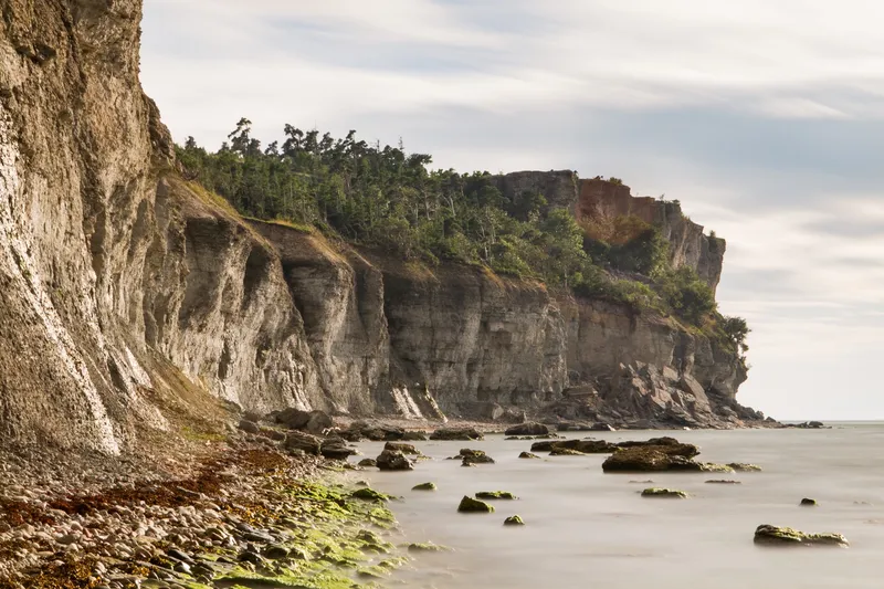 Eroding coastal cliffs
