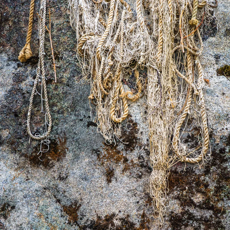 Weathered ropes on rock